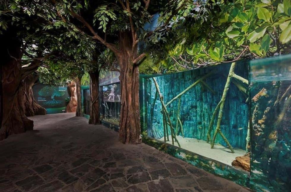 VGP Marine Kindgom Ravidas Blooloop