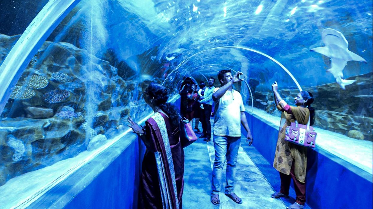VGP-marine kingdom aquarium visitors india.jpg
