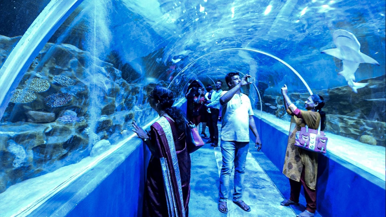 VGP-marine kingdom aquarium visitors india.jpg