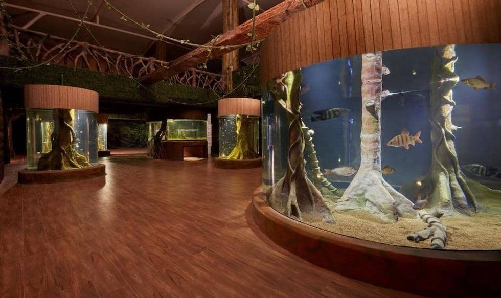 VGP Marine Kingdom Ravidas Blooloop