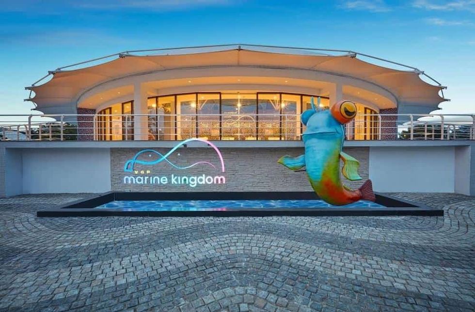 VGP Marine Kingdom Ravidas Blooloop