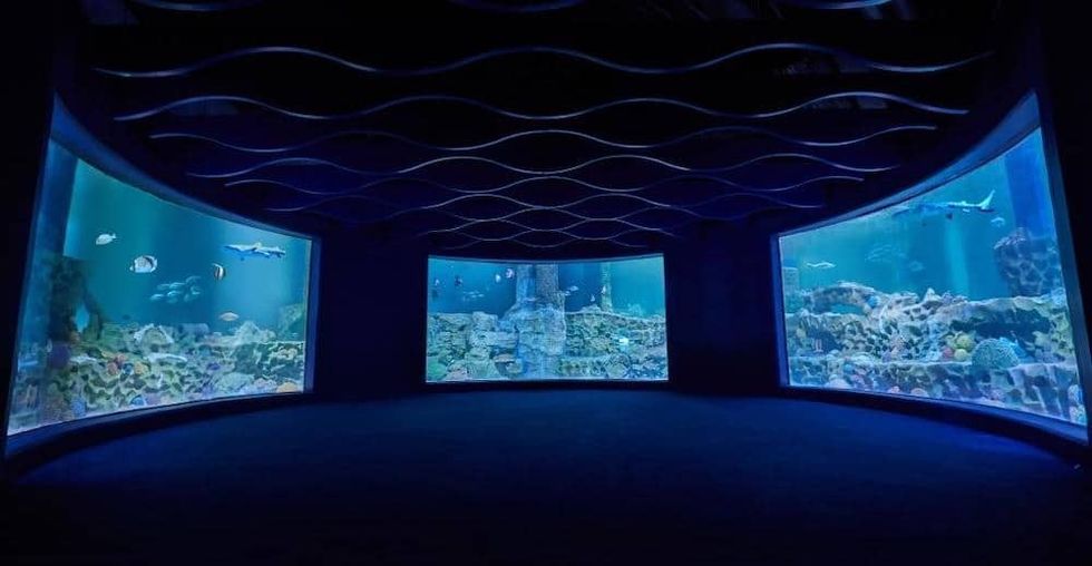 VGP Marine Kingdom Ravidas Blooloop