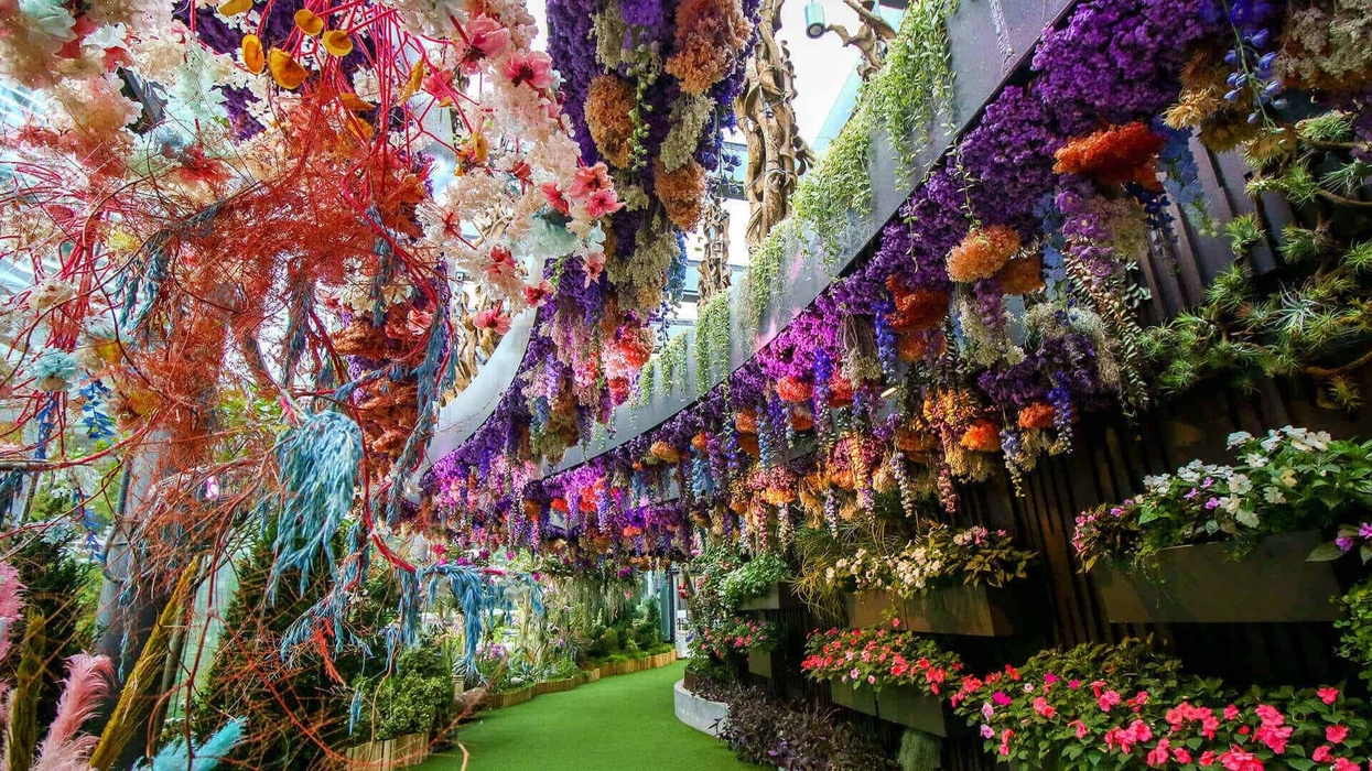 Vibrant floral archway at Gardens by the Bay in Singapore with colorful cascading flowers and lush greenery.