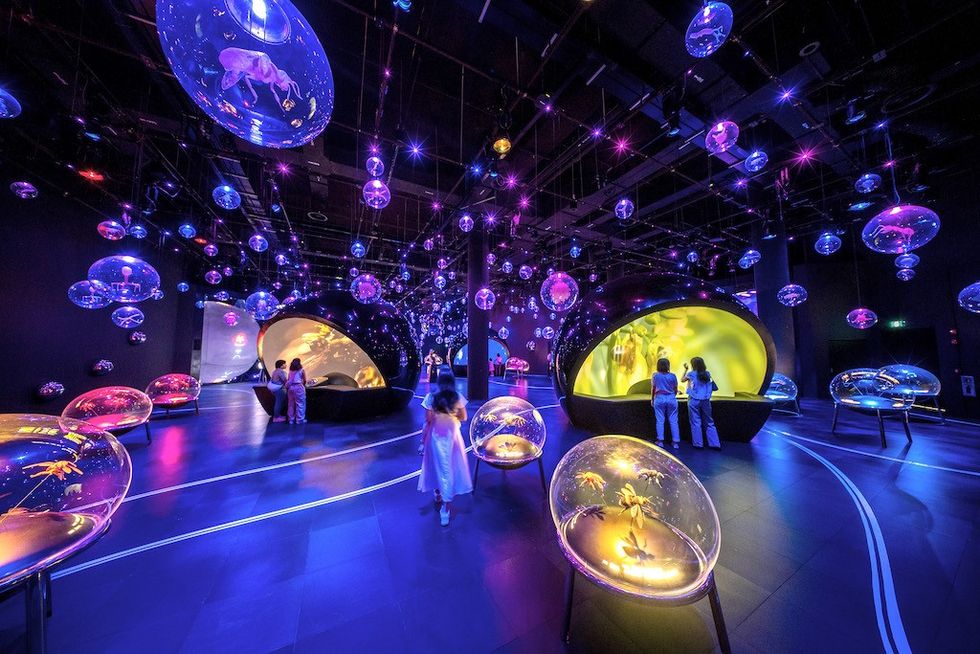 Vibrant, futuristic room with glowing orbs and interactive displays under dim lighting.