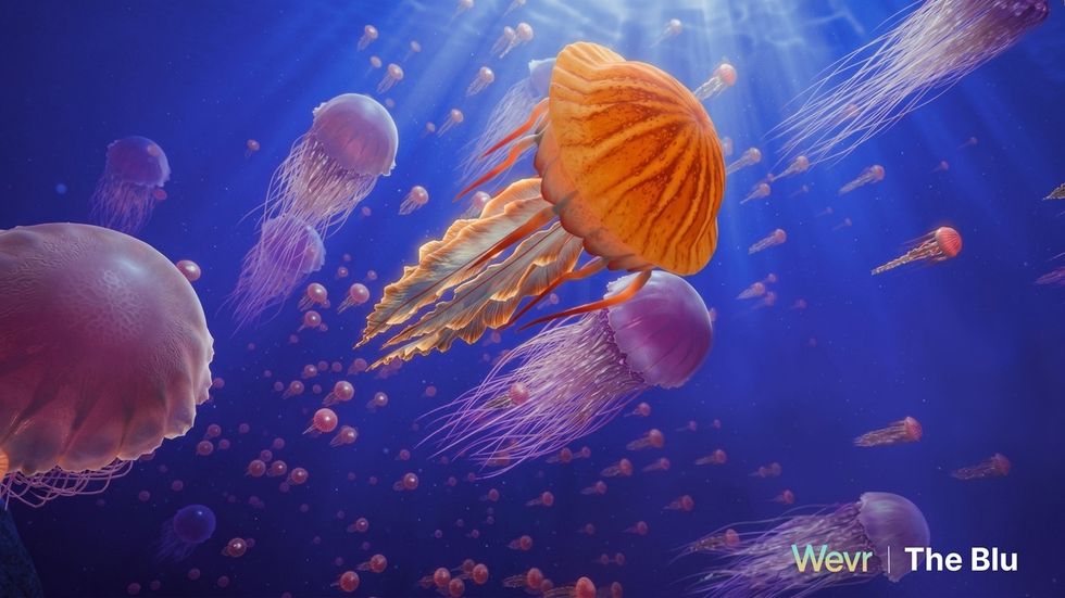 Vibrant jellyfish float in a sunlit underwater scene, with a prominent orange jellyfish center.