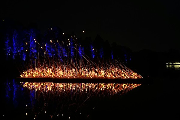 Vibrant orange light reeds over water, blue-lit trees in background.