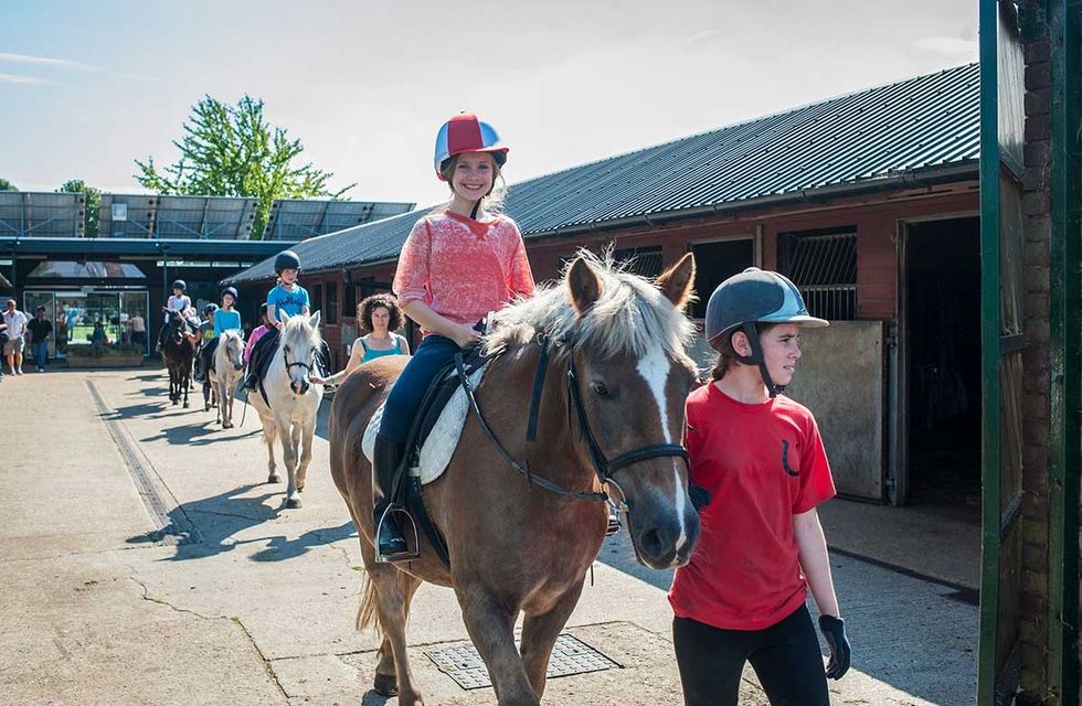 Vibrant Partnerships Lee Valley Riding Centre