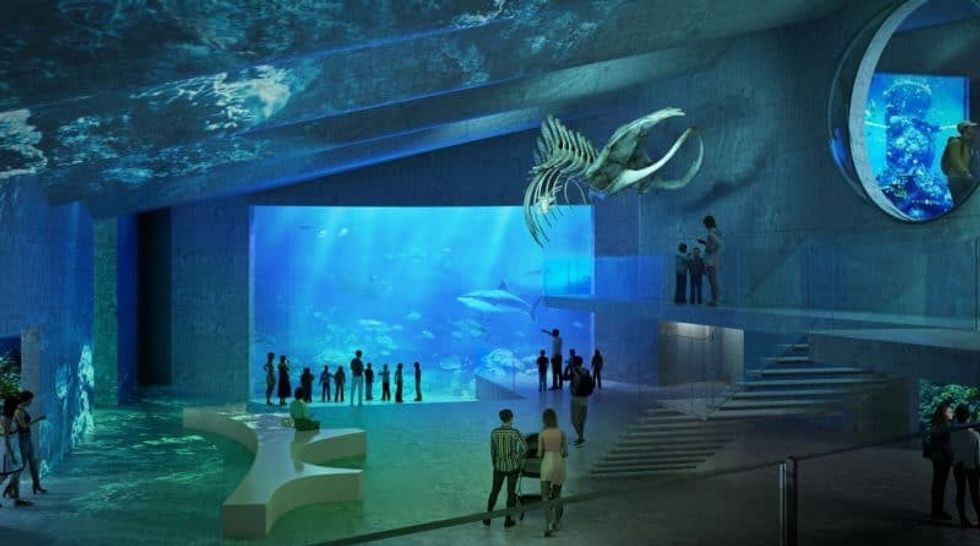 vienna zoo aquarium
