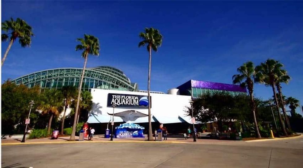 View of the Florida Aquarium building from front