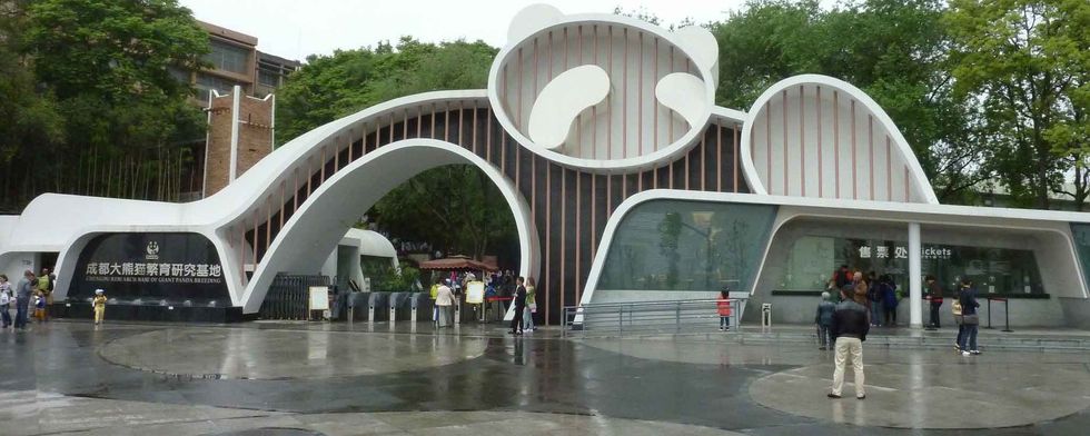 Virtual reality comes to Chengdu Research Base of Giant Panda Breeding
