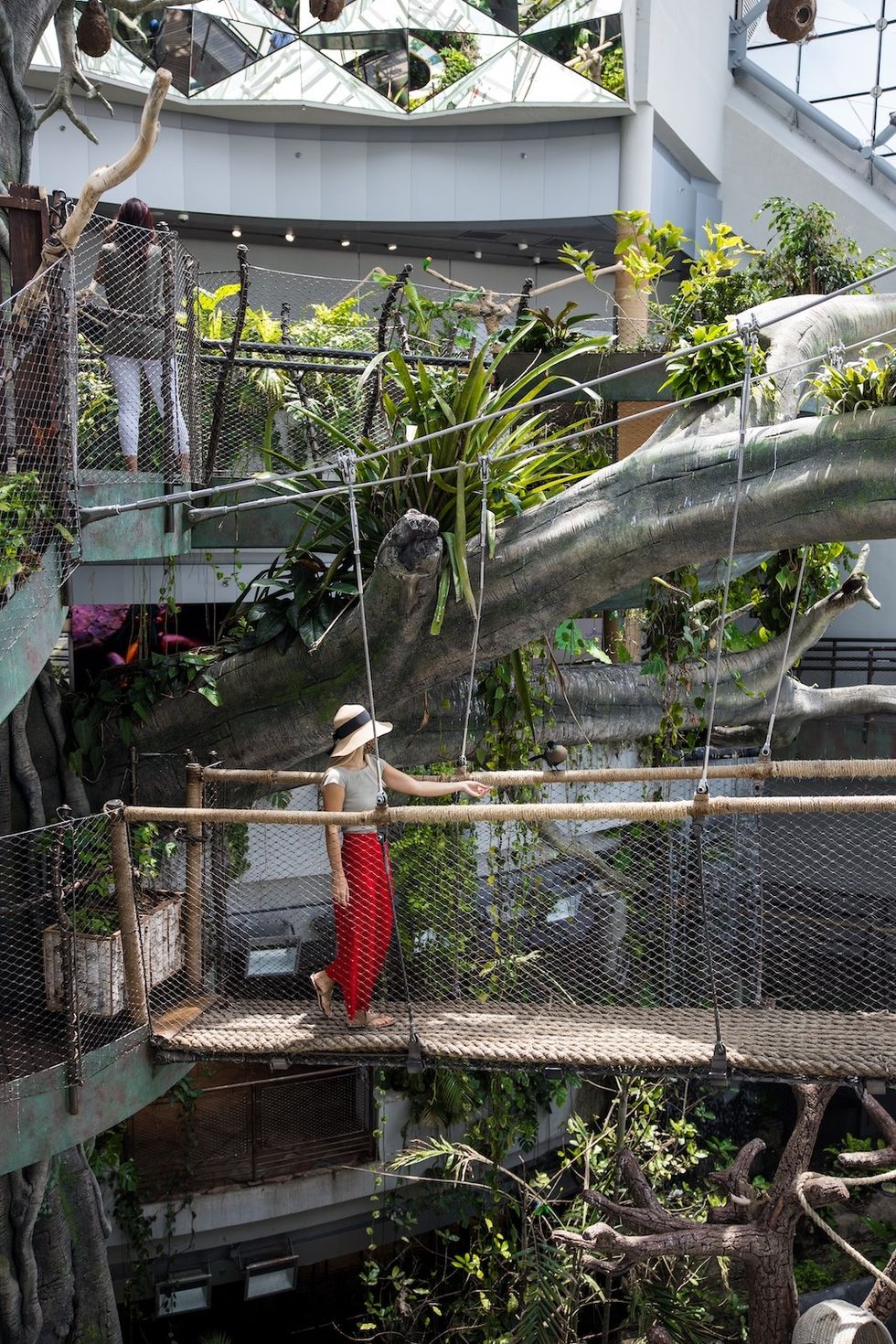 Visitor at Green Planet Dubai