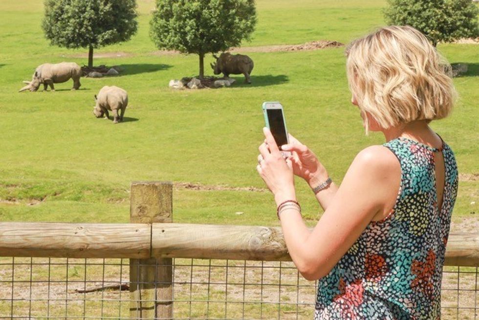 visitor phone marwell zoo
