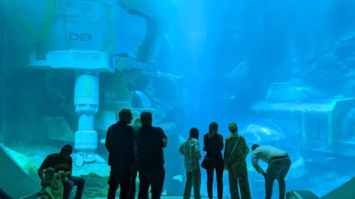 visitors at endless ocean aquarium