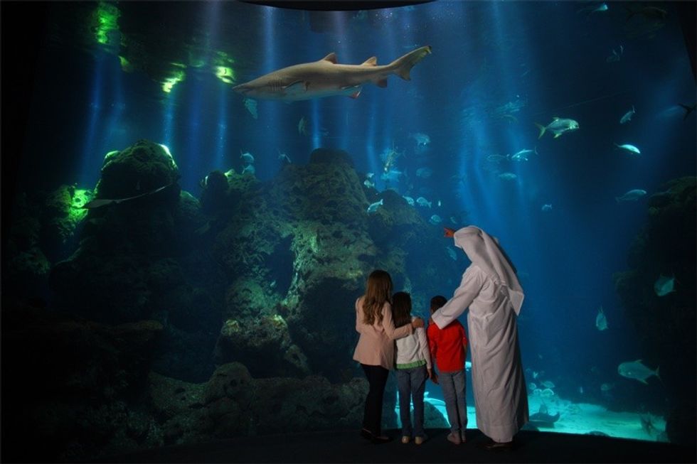 visitors at Kuwait Scientific Centre