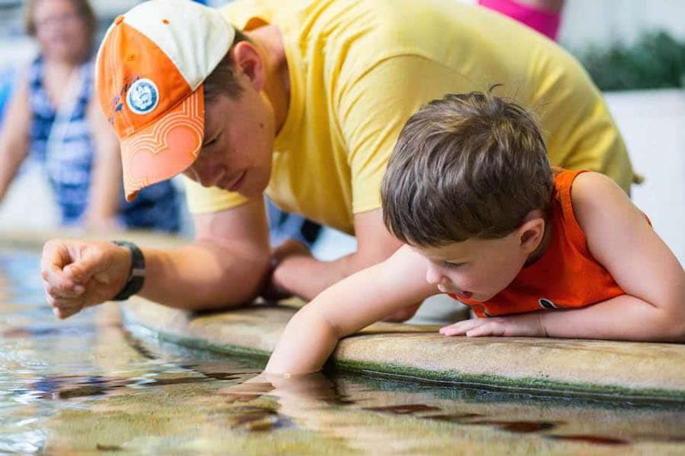 Visitors-at-Mote-Aquarium-touch-habitat