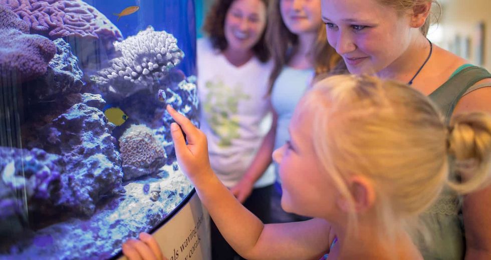 Visitors-at-Mote-Aquarium