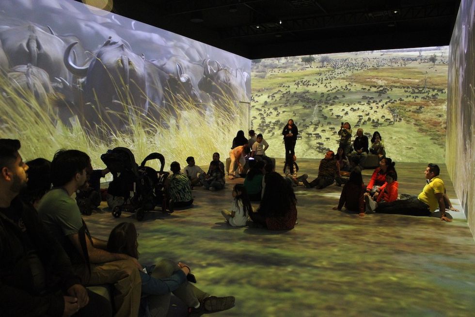 visitors at One World One Chance Mexico