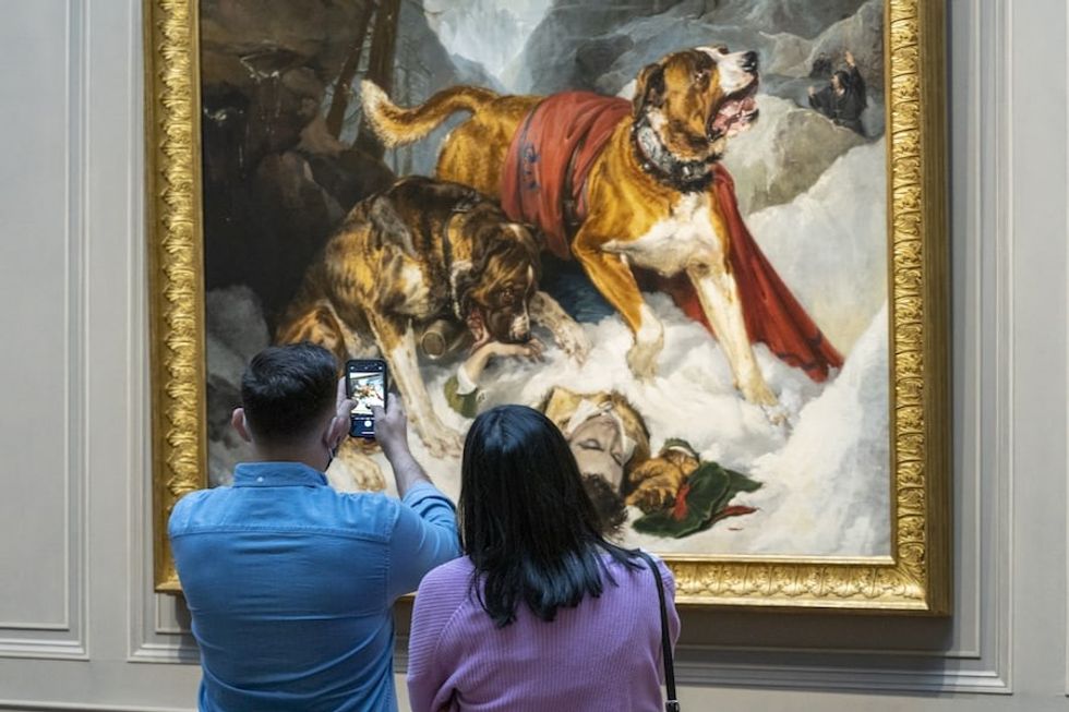 Visitors capture Sir Edwin Landseer’s Alpine Mastiffs Reanimating a Distressed Traveler, National Gallery of Art, Washington