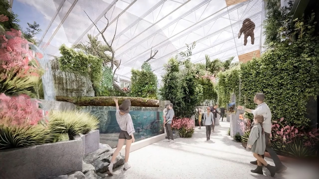 Visitors explore a lush indoor tropical habitat at Seneca Park Zoo with a waterfall, greenery, and a suspended sloth.