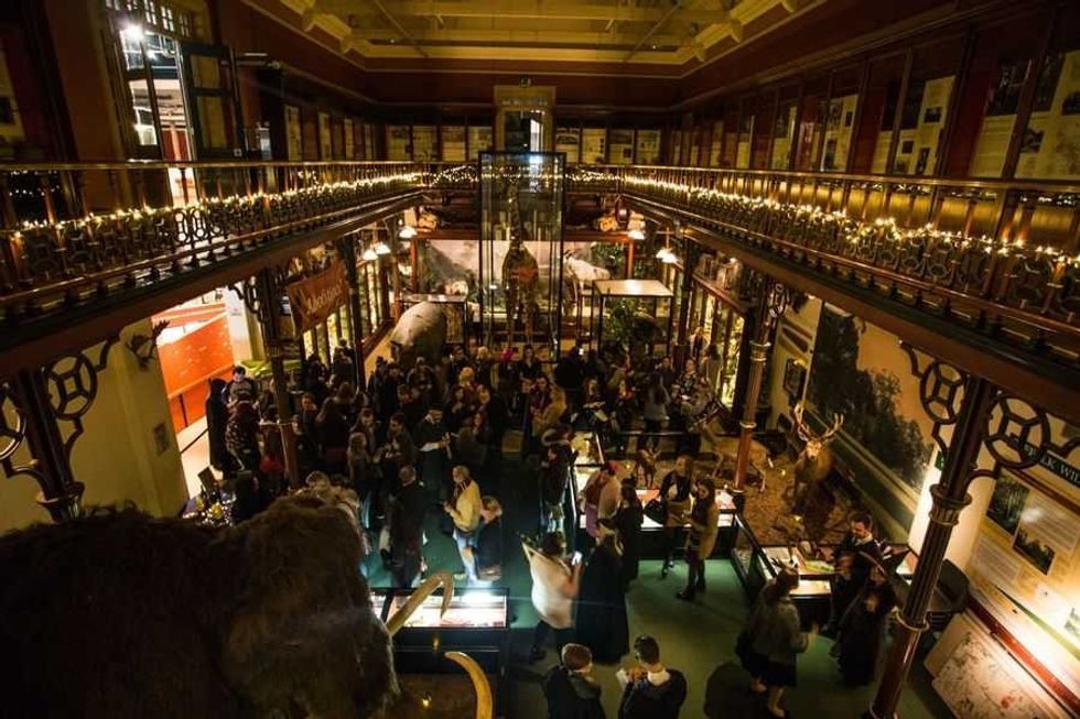 Visitors in Ipswich Museum after hours