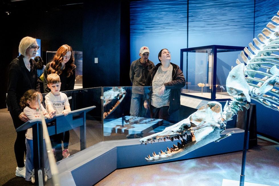 Visitors observing a marine dinosaur skeleton in a museum exhibit at Denver Museum of Nature & Science
