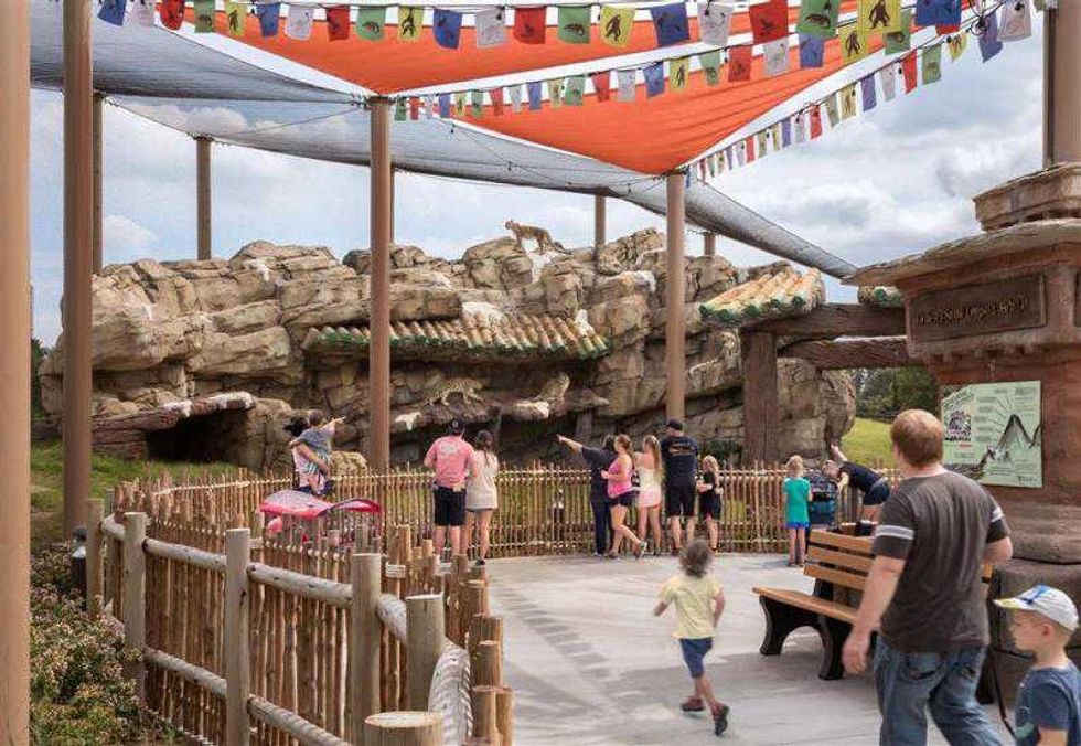 visitors view snow leopards at PGAV-designed Lost Kingdom exhibit Tulsa Zoo