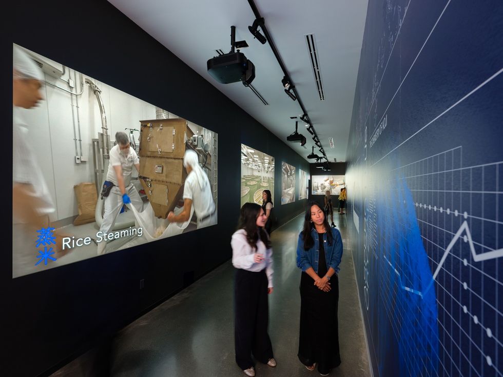 Visitors walk through an exhibit with rice processing displays on the wall.
