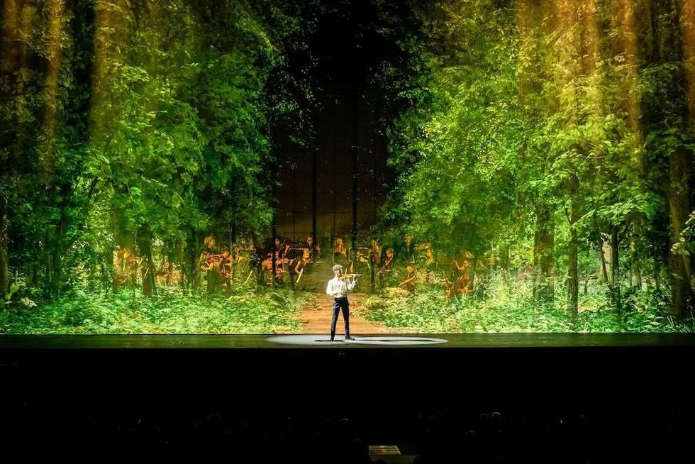 Viva Vivaldi, The Four Seasons Immersive Concert