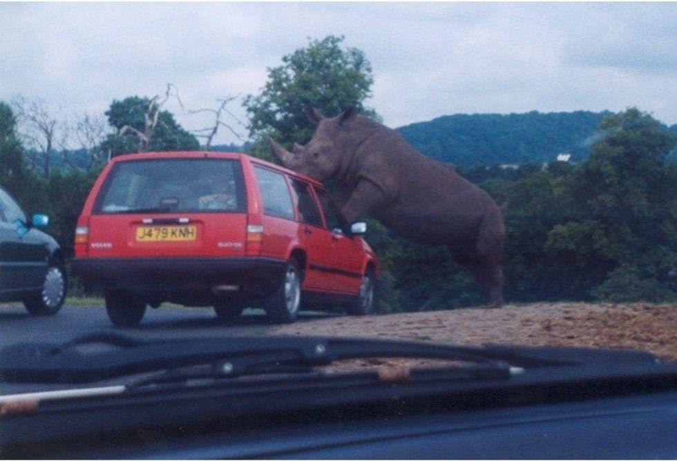 Volvo v Rhino West Midlands Safari Park balppa marketing seminar