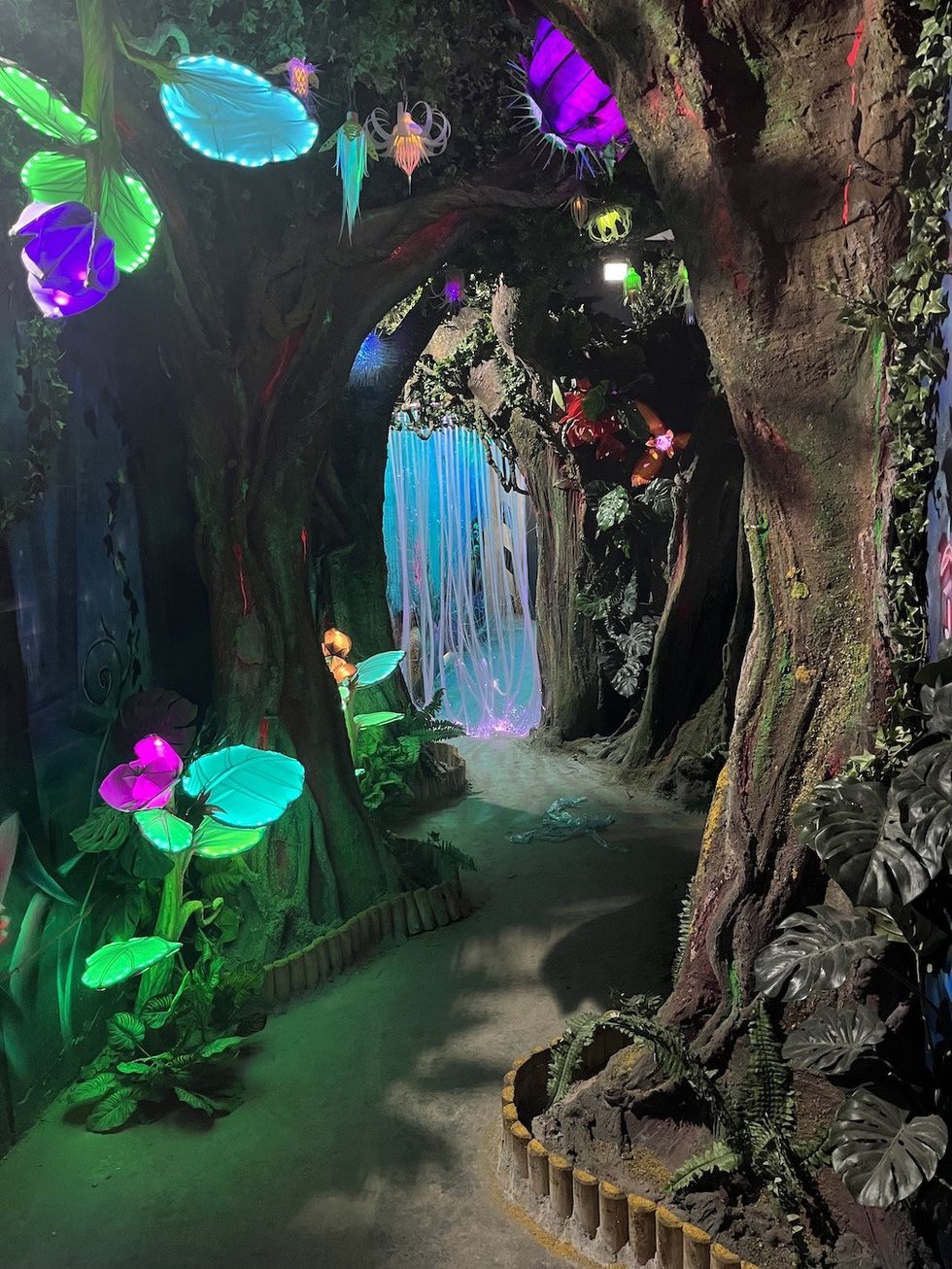 Wake the Tiger_Bristol