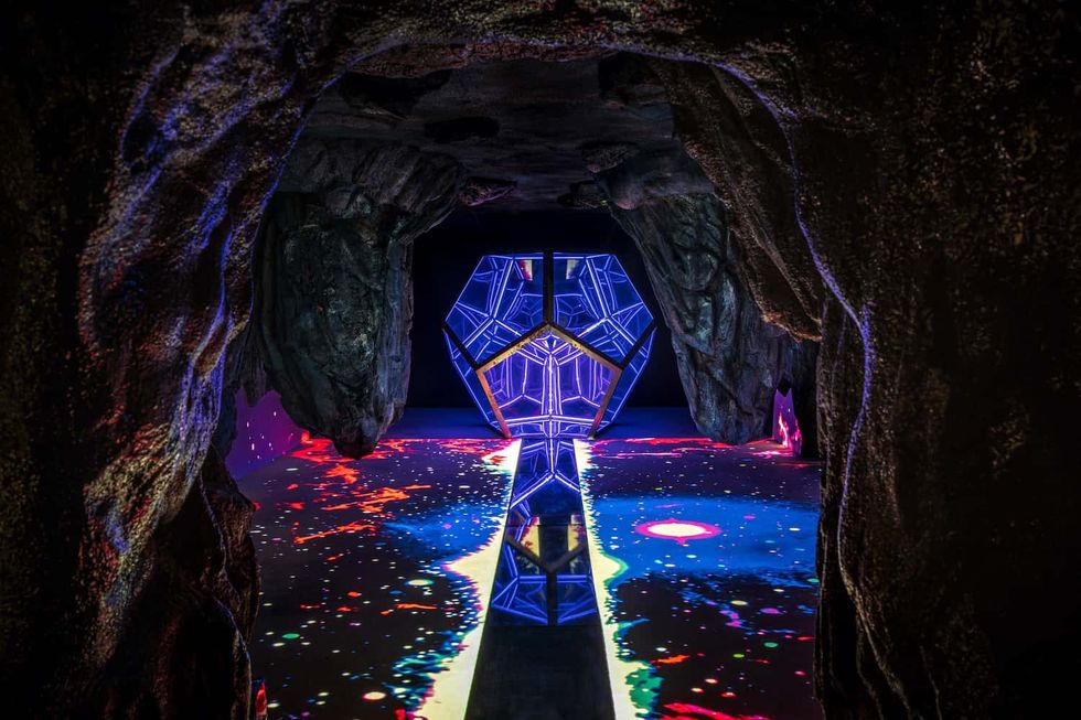 wake the tiger bristol