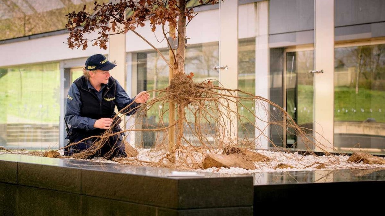 Wakehurst Interspectral Powers Interactive Secret Structures Exhibit at Millennium Seed Bank