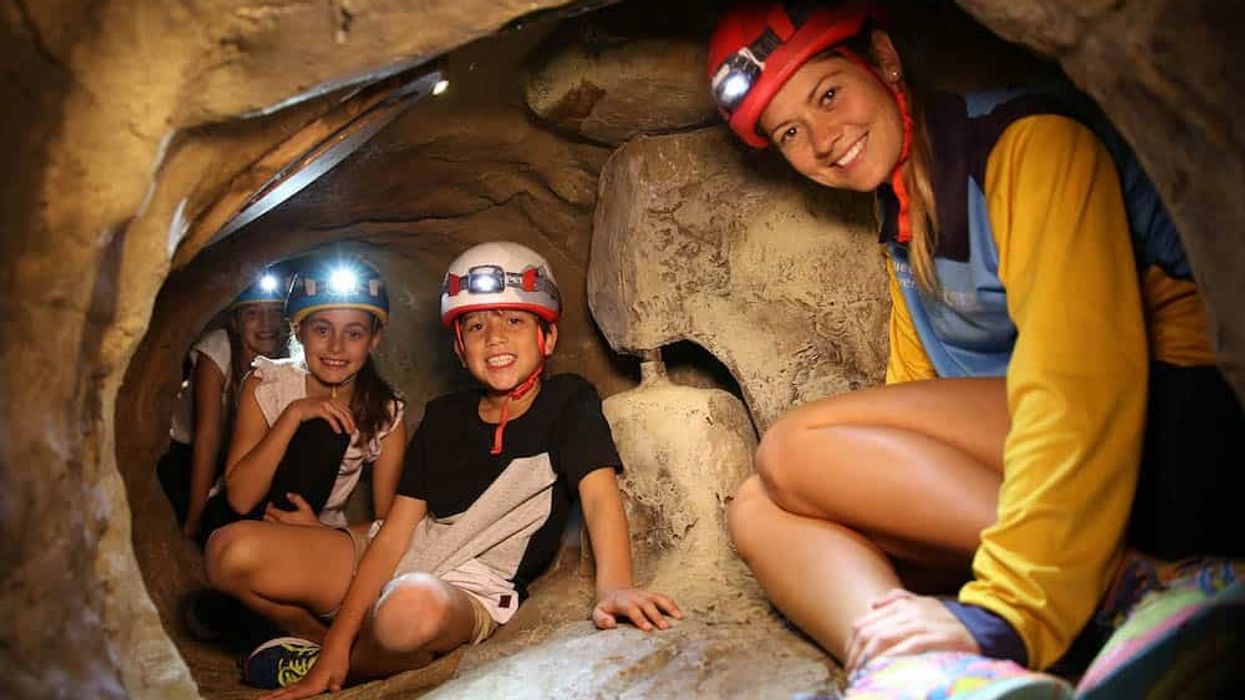 Walltopia Saves Sunshine