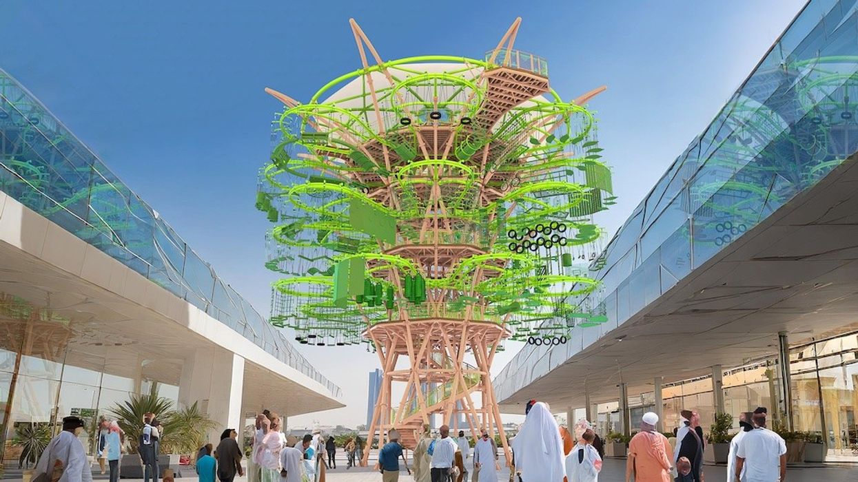 Walltopia Tree-Course