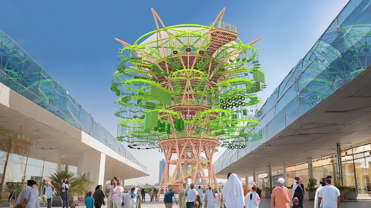 Walltopia Tree-Course