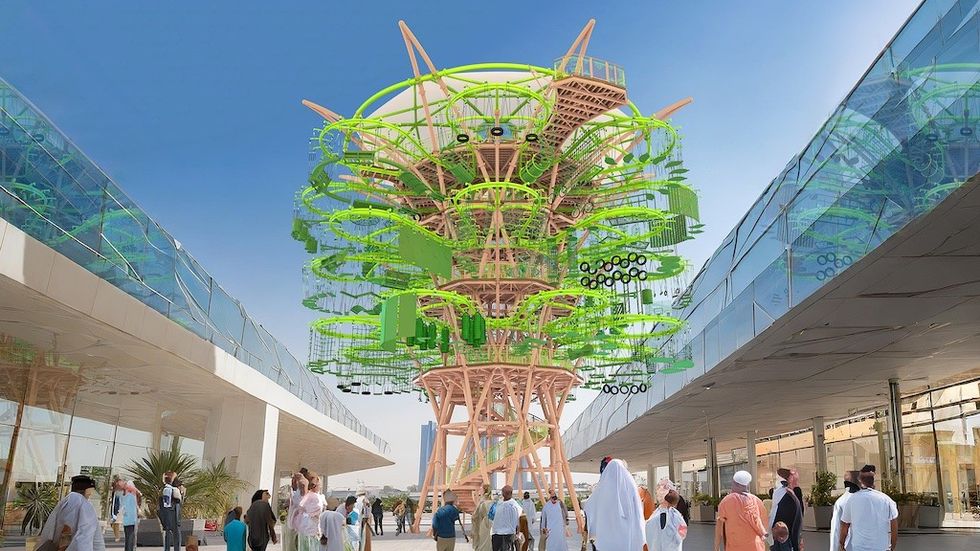 Walltopia Tree-Course