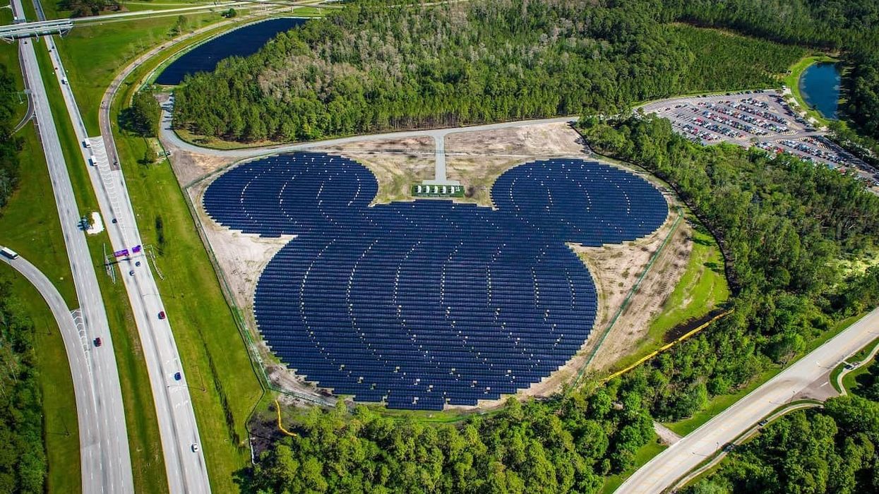 walt disney world solar farm