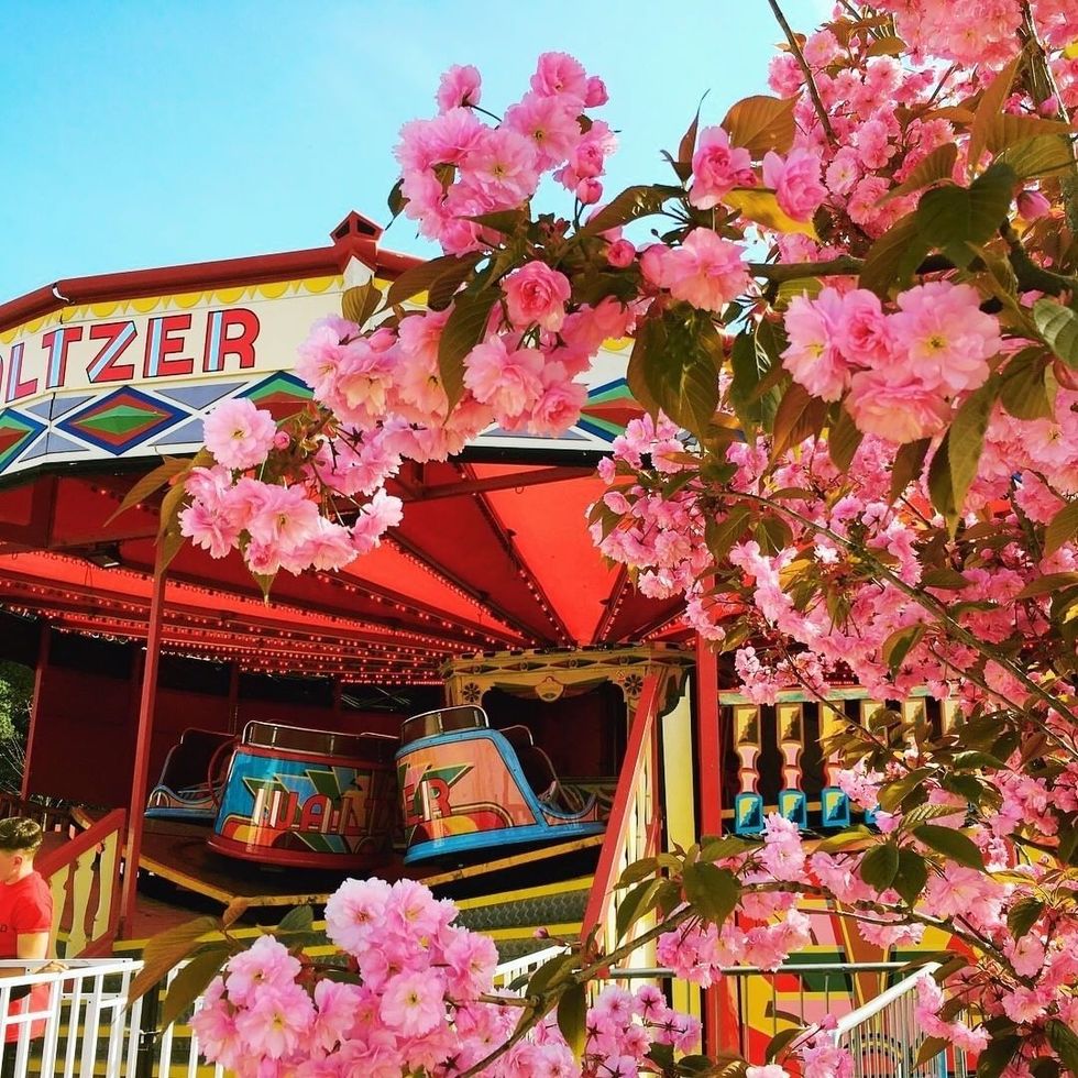 Waltzer with flowers Dreamland