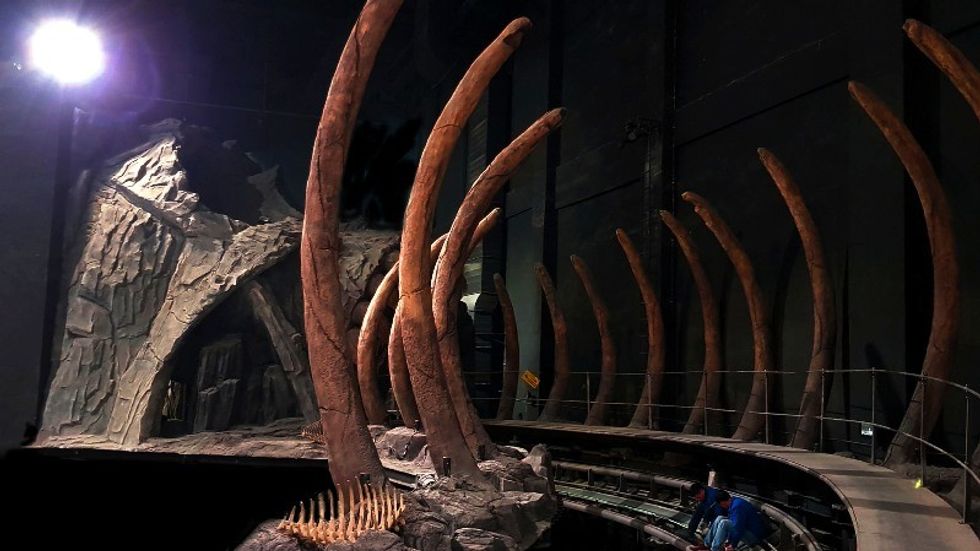 wanda qingdao dark ride giant ribcage