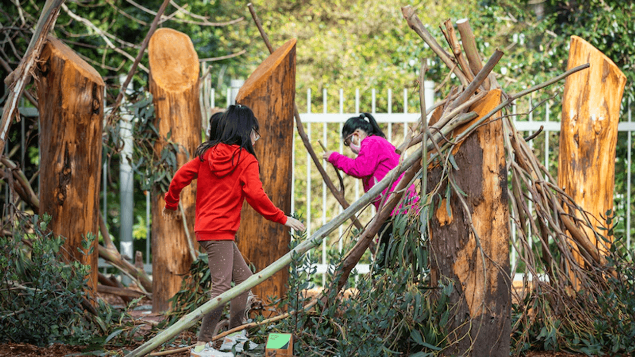 Wander Woods California Academy of Sciences