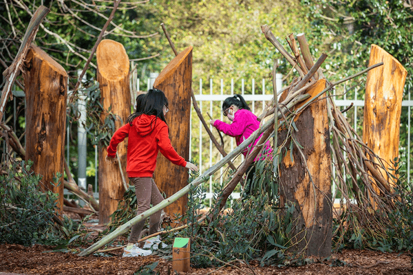 Wander Woods California Academy of Sciences