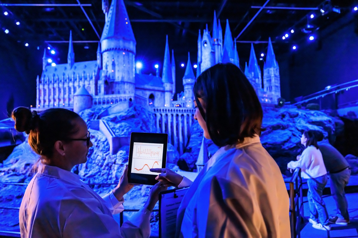 Warner Bros Studio Tour London goosebump study