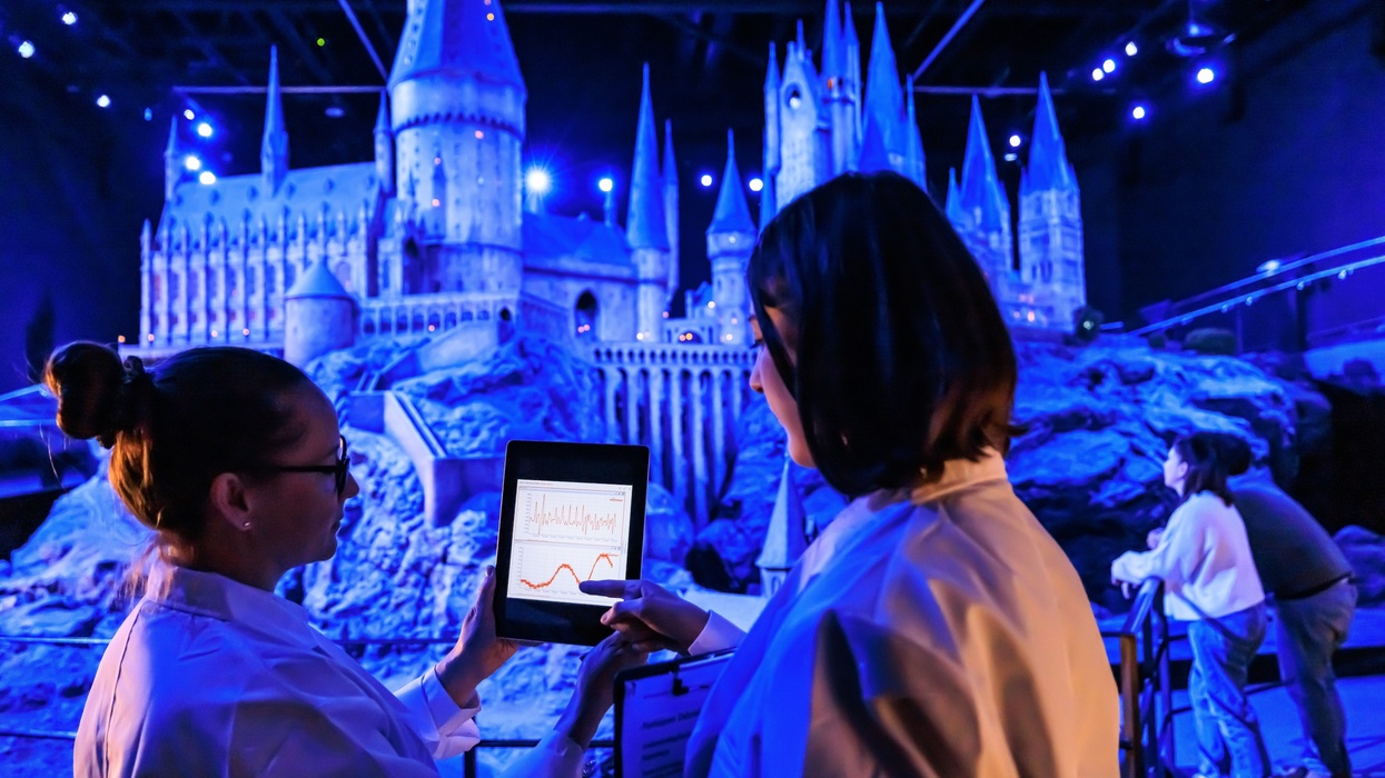 Warner Bros Studio Tour London goosebump study