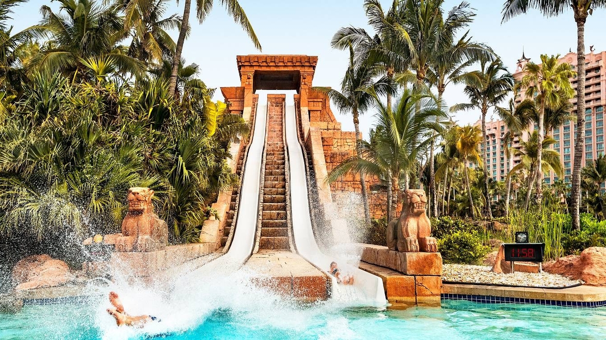 Water slide amid tropical trees with splashing rider at Aquaventure Water Park at Atlantis Paradise Island