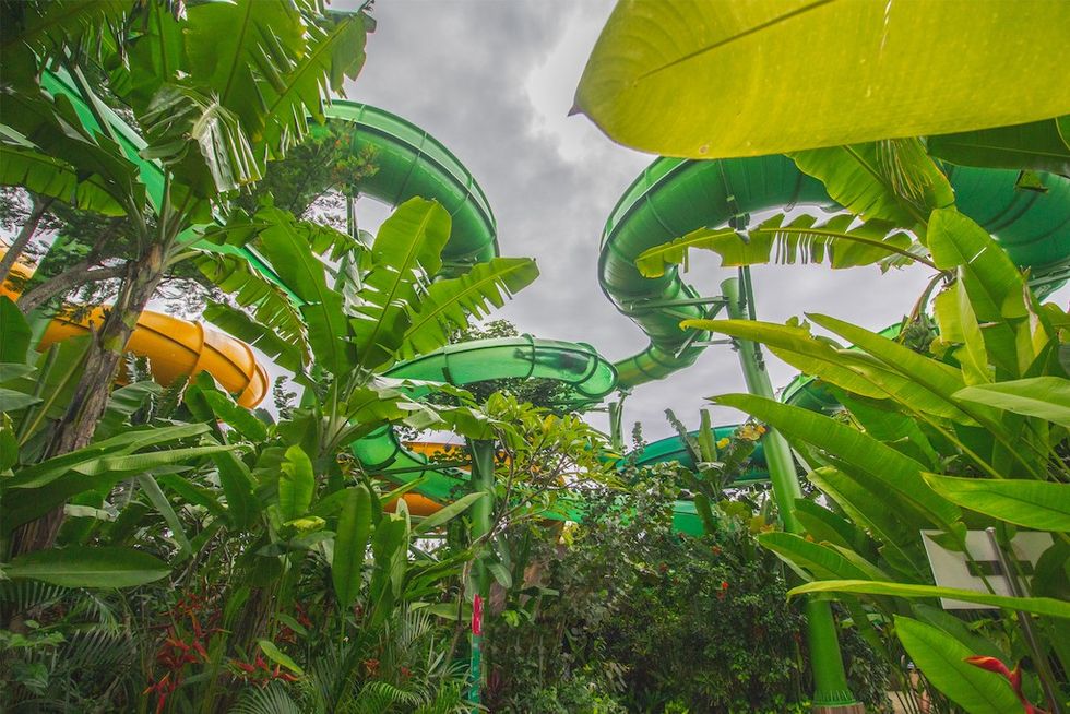 Waterbom Bali slides with trees