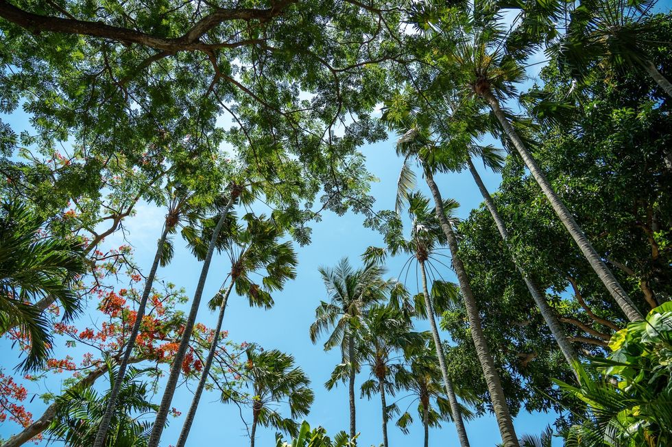 waterbom bali water park