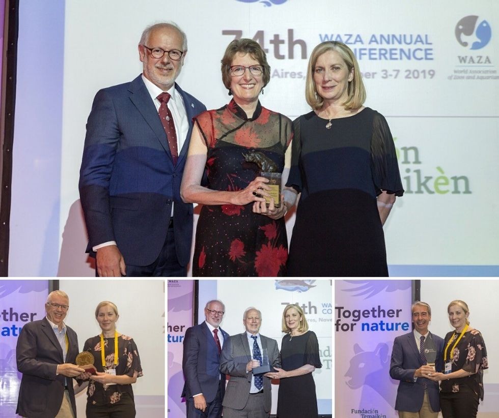 WAZA conference 2019