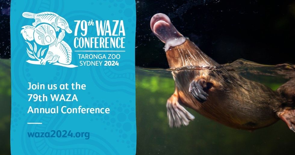 WAZA conference 2024