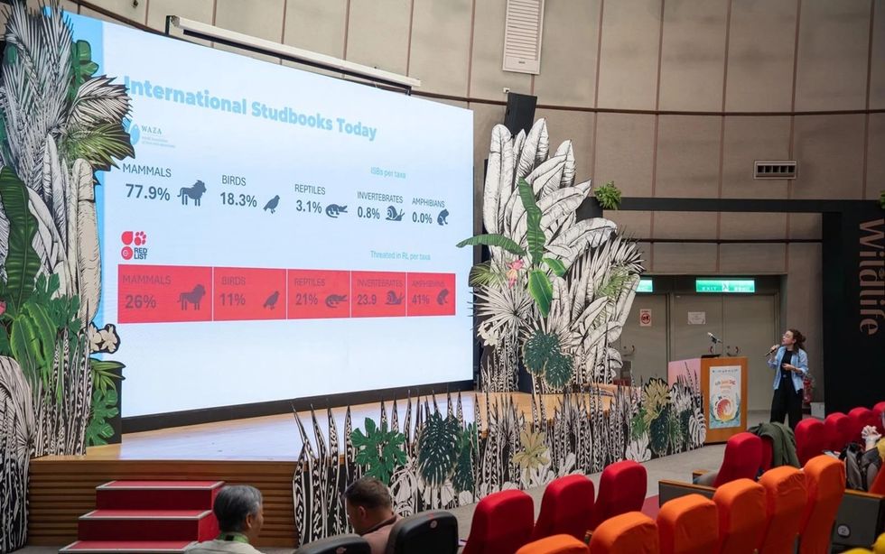 WAZA conference presentation on studbooks with wildlife-themed decor and audience seating.