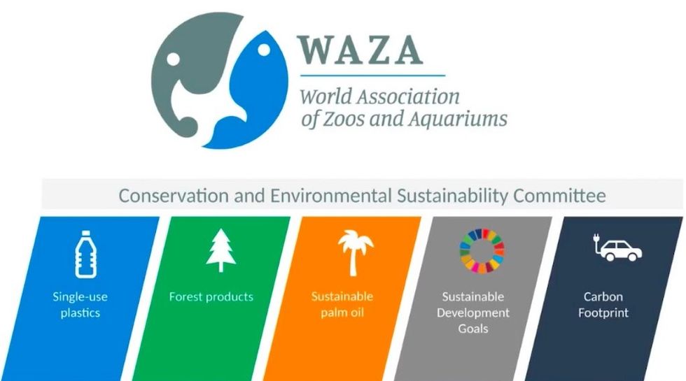 WAZA conservation committee